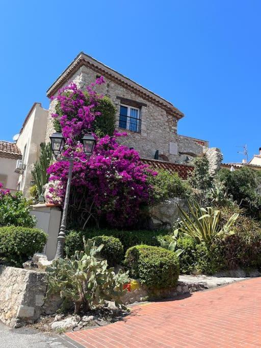 Strelizia - New Central Old Antibes For 4 Ac Zewnętrze zdjęcie